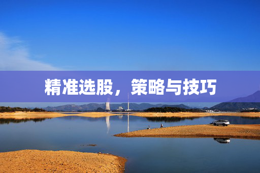 精准选股，策略与技巧