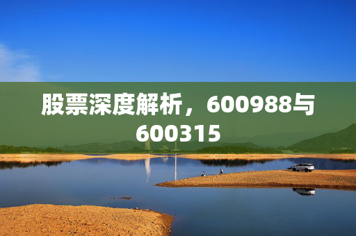 股票深度解析，600988与600315