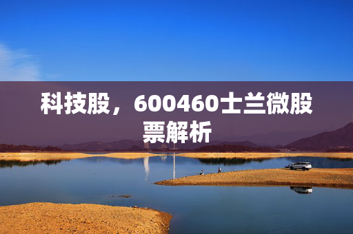 科技股，600460士兰微股票解析
