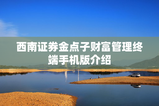 西南证券金点子财富管理终端手机版介绍