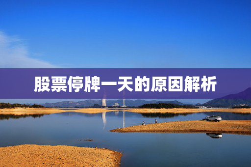 股票停牌一天的原因解析