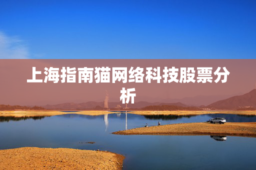 上海指南猫网络科技股票分析