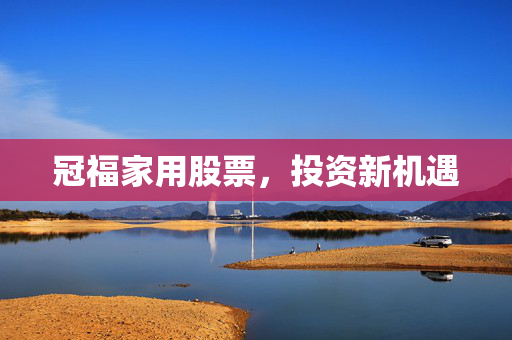 冠福家用股票，投资新机遇