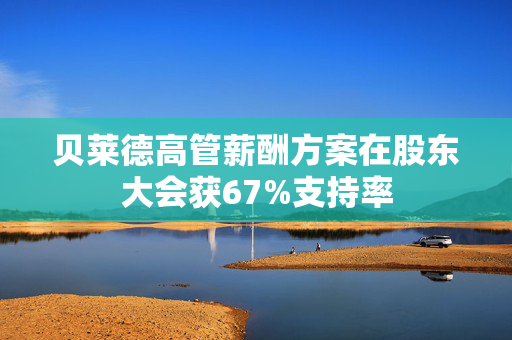 贝莱德高管薪酬方案在股东大会获67%支持率