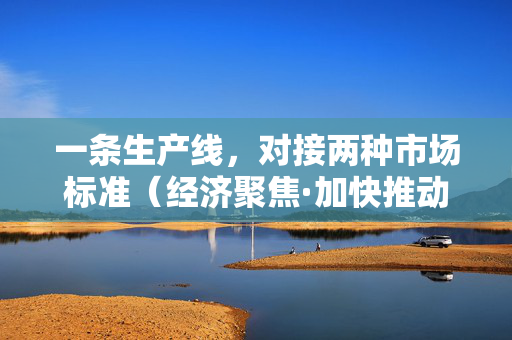 一条生产线，对接两种市场标准（经济聚焦·加快推动内外贸一体化）