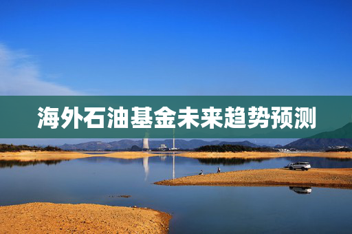 海外石油基金未来趋势预测