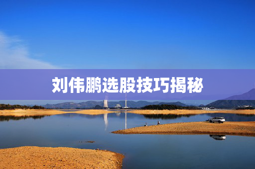 刘伟鹏选股技巧揭秘