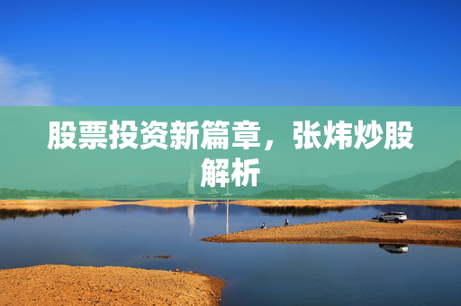 股票投资新篇章，张炜炒股解析