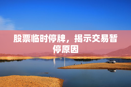 股票临时停牌，揭示交易暂停原因