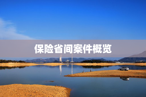 保险省间案件概览