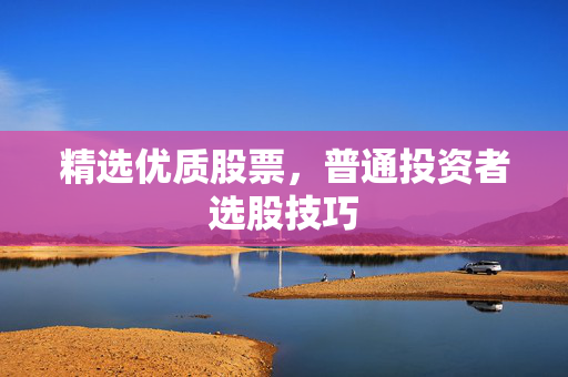 精选优质股票，普通投资者选股技巧