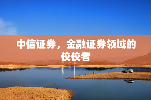 中信证券，金融证券领域的佼佼者