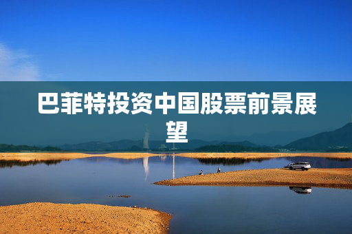 巴菲特投资中国股票前景展望