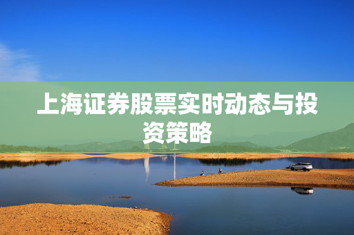 上海证券股票实时动态与投资策略