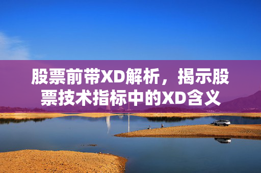 股票前带XD解析，揭示股票技术指标中的XD含义