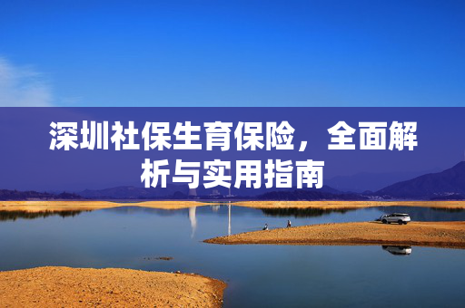 深圳社保生育保险，全面解析与实用指南