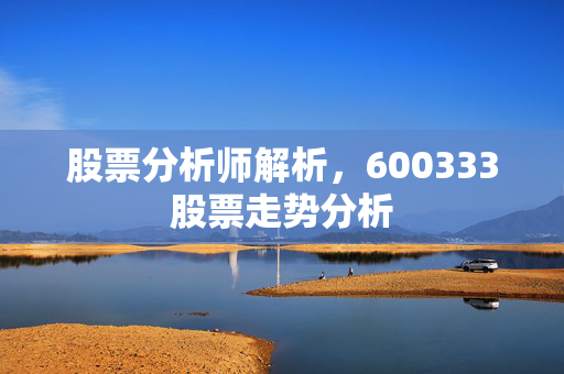股票分析师解析，600333股票走势分析