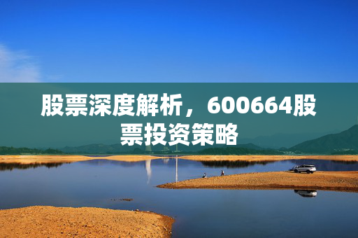 股票深度解析，600664股票投资策略