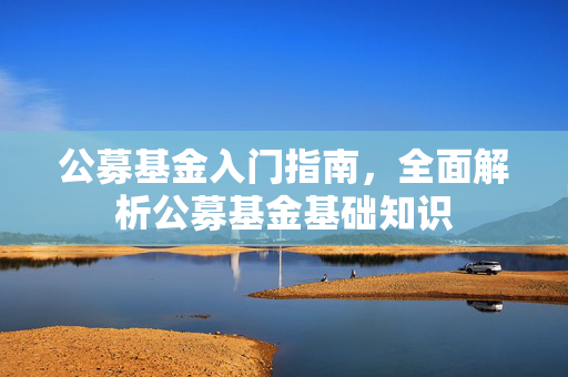 公募基金入门指南，全面解析公募基金基础知识