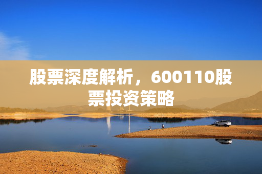 股票深度解析，600110股票投资策略