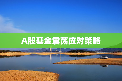 A股基金震荡应对策略