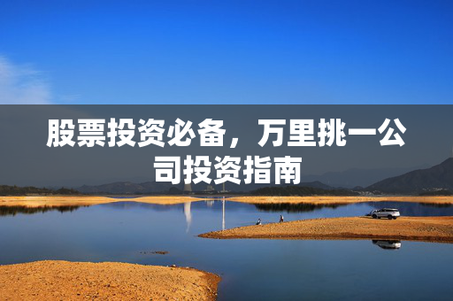 股票投资必备，万里挑一公司投资指南