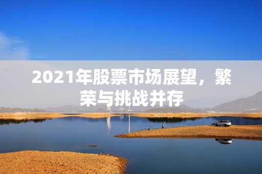 2021年股票市场展望，繁荣与挑战并存
