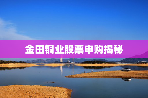 金田铜业股票申购揭秘