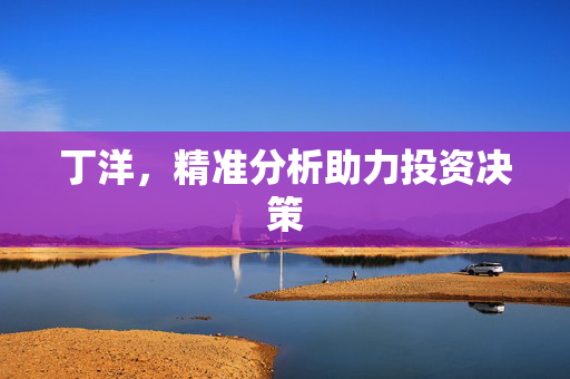 丁洋，精准分析助力投资决策