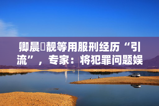 卿晨璟靓等用服刑经历“引流”，专家：将犯罪问题娱乐化会消解刑罚严肃性