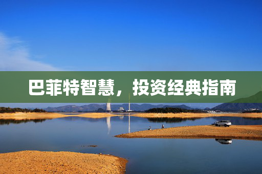 巴菲特智慧，投资经典指南