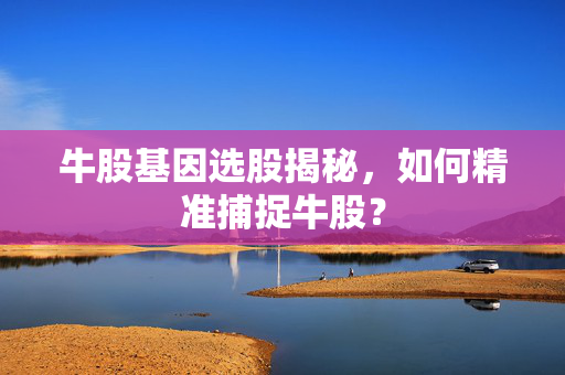 牛股基因选股揭秘，如何精准捕捉牛股？