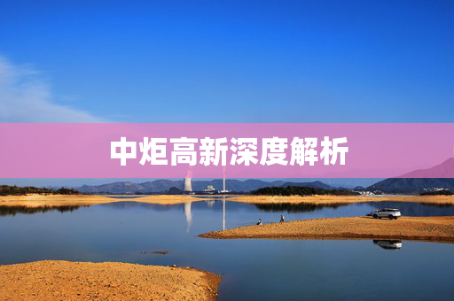中炬高新深度解析