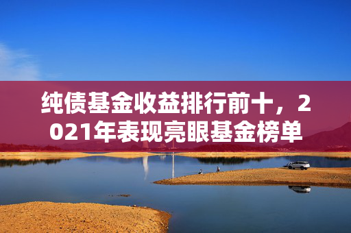 纯债基金收益排行前十，2021年表现亮眼基金榜单
