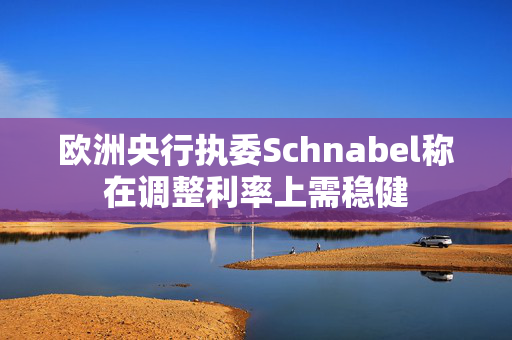 欧洲央行执委Schnabel称在调整利率上需稳健