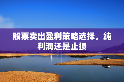 股票卖出盈利策略选择，纯利润还是止损