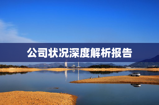 公司状况深度解析报告