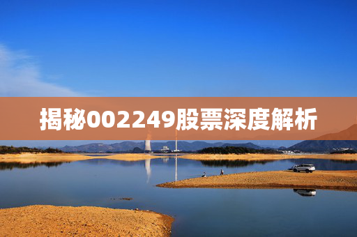 揭秘002249股票深度解析