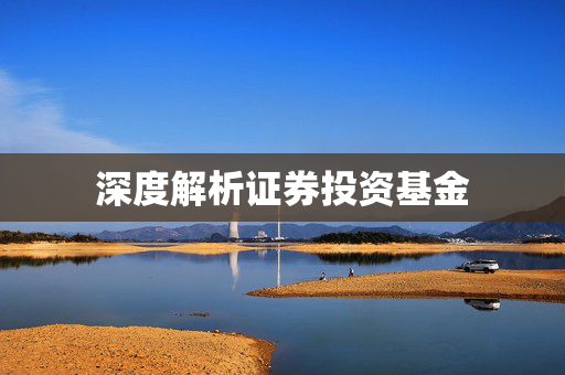 深度解析证券投资基金