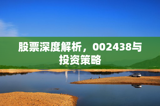 股票深度解析，002438与投资策略