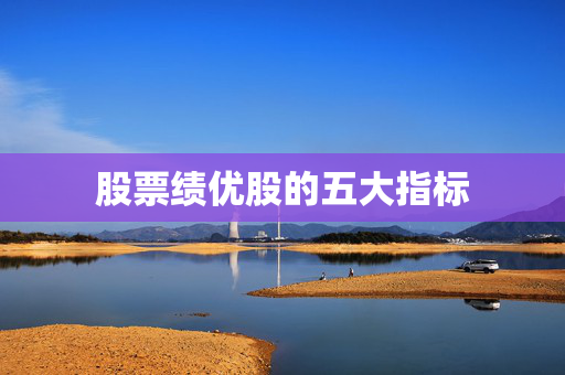 公司实力