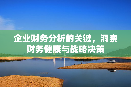 企业财务分析的关键，洞察财务健康与战略决策