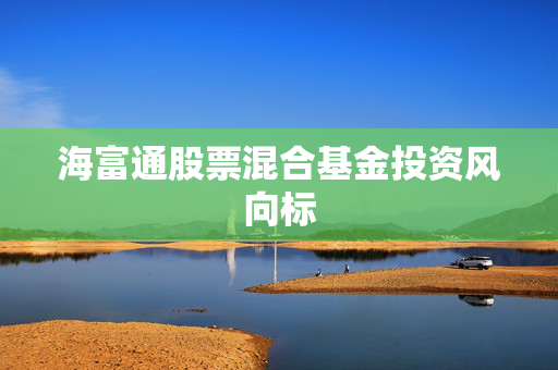 海富通股票混合基金投资风向标