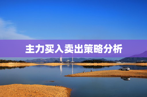 主力买入卖出策略分析