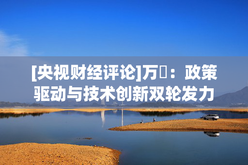 [央视财经评论]万喆：政策驱动与技术创新双轮发力