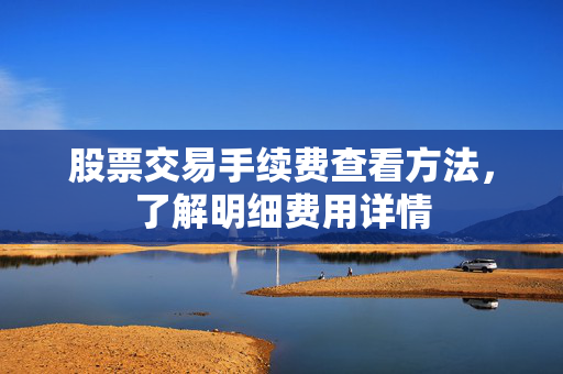 股票交易手续费查看方法，了解明细费用详情