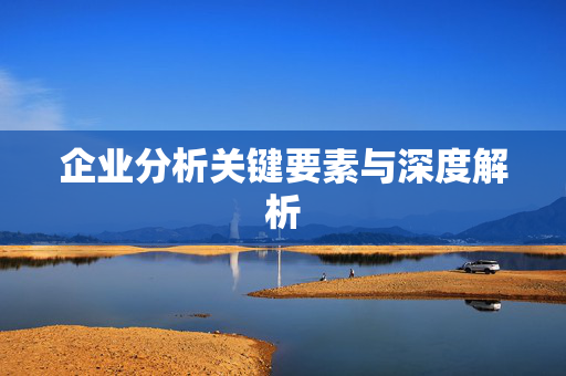 企业分析关键要素与深度解析