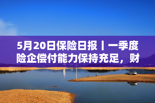 5月20日保险日报丨一季度险企偿付能力保持充足，财险公司头部承包八成净利润，代理人面临终局之战
