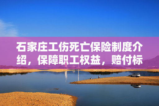 石家庄工伤死亡保险制度介绍，保障职工权益，赔付标准详解