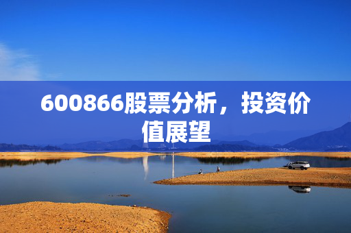 600866股票分析，投资价值展望